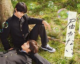 茄子视频-茄子视频下载2025